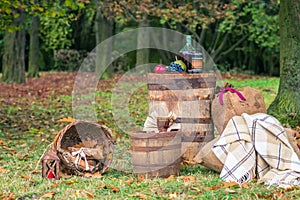 Still life in the garden autumn