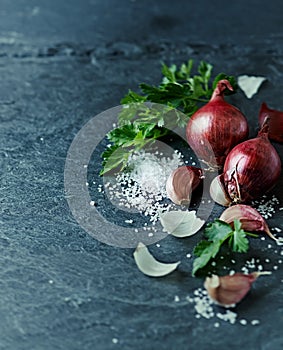 Still life with garlic, onion, parsley and sea salt