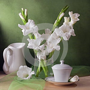 Still life with gladiolus flowers