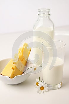 Still life of glass of milk and cheese