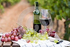 Still life with glass of red wine and grapes