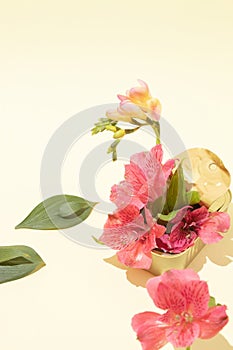 Still life of a golden can full of fresh pink flowers, on a pastel background. Concept of environmental protection