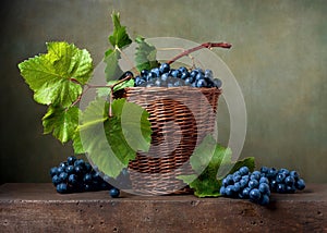 Still life with grapes photo
