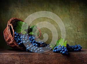 Still life with grapes in basket photo