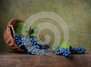 Still life with grapes in a basket