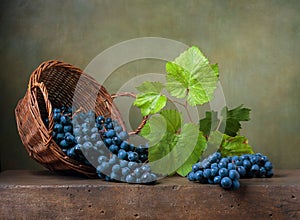 Still life with grapes on a basket photo