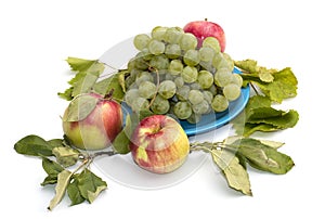 Still life grapes on a blue plate, apples and leaves