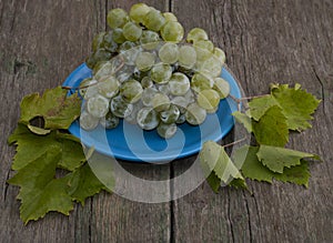 Still life grapes on a blue plate and branches of leaves