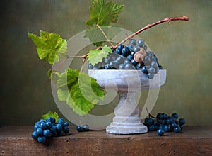 Still life with grapes in a vase photo