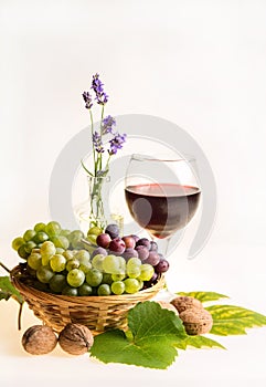 Still life with grapes , wine, walnuts and lavender