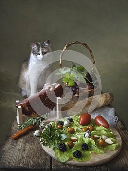 Still life with Ham and curious cute kitty