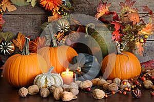 Still life harvest decoration for Thanksgiving