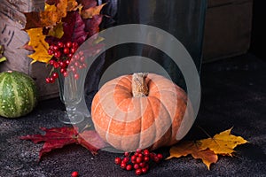 Still life harvest with pumpkins and leaves