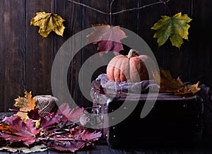 Still life harvest with pumpkins and leaves