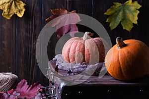 Still life harvest with pumpkins and leaves