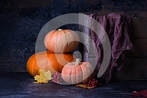 Still life harvest with pumpkins and leaves