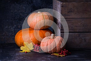 Still life harvest with pumpkins and leaves
