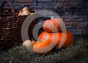 Still life harvest with pumpkins and leaves