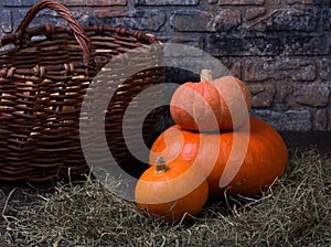 Still life harvest with pumpkins and leaves