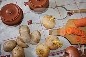 Still Life. Harvest of variety fresh vegetables