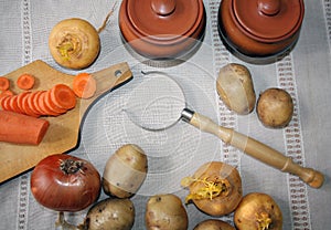 Still Life. Harvest of variety fresh vegetables