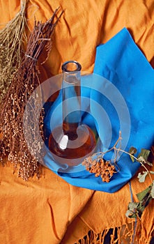 Still life with herbs and bottle