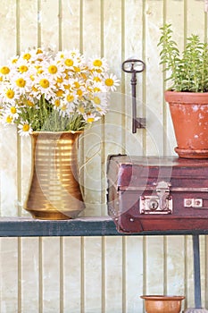 Still life with herbs and flowers