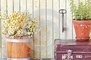 Still life with herbs and flowers