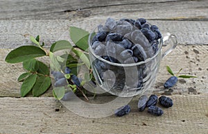 Still life with honeysuckle berries