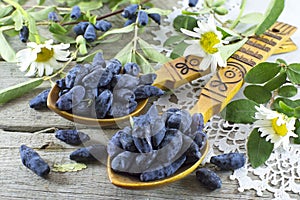 Still life with honeysuckle berries and two spoons