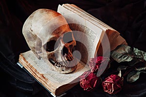 Still life with human skull