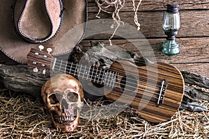 Still life with human skull and ukulele in barn background