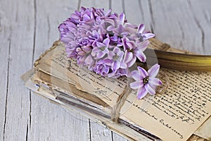 Still Life With Hyacinth Flower