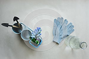 Still life of hyacinth mix plant and gardening tools in metal pot, gloves and glass bottle with water