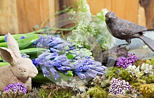 Still life with Hyacinth on moss and wood background in rustic r