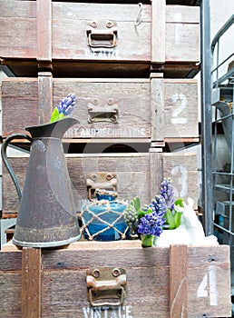 Still life with Hyacinth in vintage cabinet wood