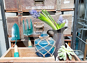 Still life with Hyacinth in vintage cabinet wood at rustic inte