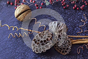 Still life - ikebana of dry lotuses and coconut balls. Branch with dried berries. Textile background