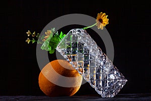 Still life images include: an orange, a vase of a flower 5