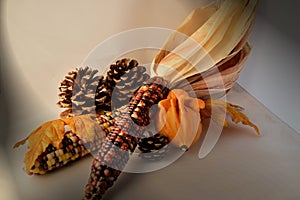 Still Life with Indian corn, a gourd and pine cones