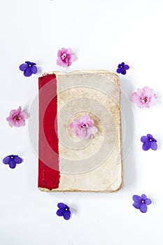 Still life interior decoration pink flower on retro book on white table background