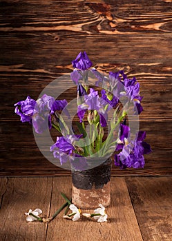 Still life with iris