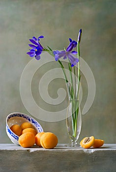 Still life with irises