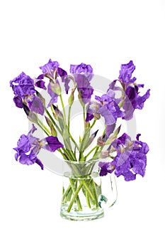 Still life with irises