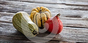 Still life of kuri squash and green gourd over wood