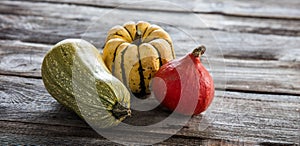 Still life of kuri squash and green gourd over wood photo