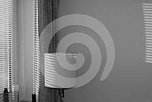 STILL LIFE LAMP AND TOW BLACK AND WHITE PHOTOGRAPHY