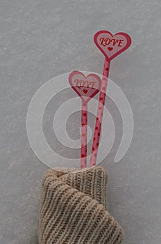Still Life The love of two hearts warms in cold snow. Two pink hearts on the straw in the snow, Inside the hearts written in red l