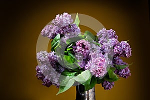 Still life with a luxurious bouquet. Bouquet of purple lilac flowers