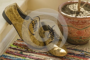 Still life with man shoes, flower pot and woven rug